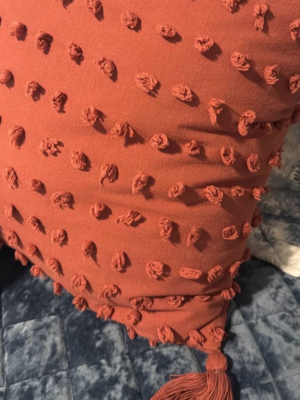 Opalhouse Rust Tassel Dot Decorative Throw Pillow Pair - Picture 2 of 3